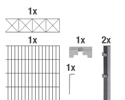 Set de panneaux rigides double fil Nexus 200 x 100 cm, 2 m, anthracite