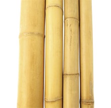 Tige de bambou Ø 11-12 cm longueur 200 cm-thumb-1
