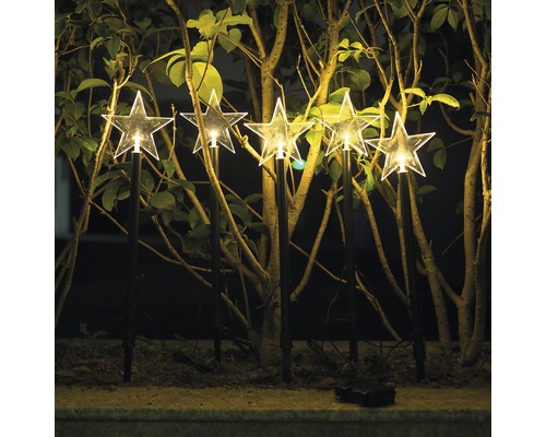 Déco de jardin à LED Lafiora étoile 5 LED couleur d'éclairage blanc chaud avec minuterie