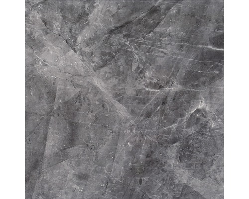 Feinsteinzeug Wand- und Bodenfliese Dalven Nero 60 x 60 x 0,95 cm