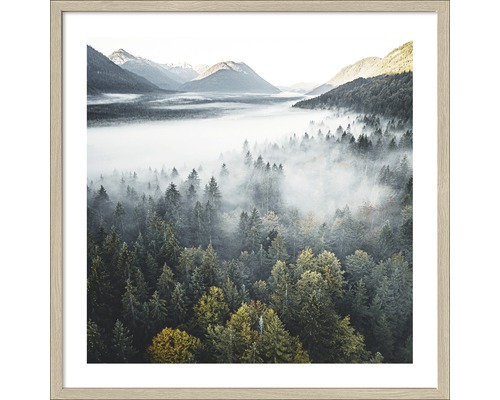 Gerahmtes Bild Foggy Forest Atmo 53x53cm