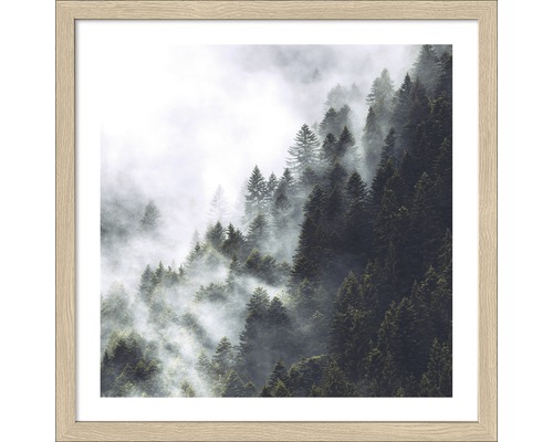 Gerahmtes Bild Foggy Trees 33x33cm