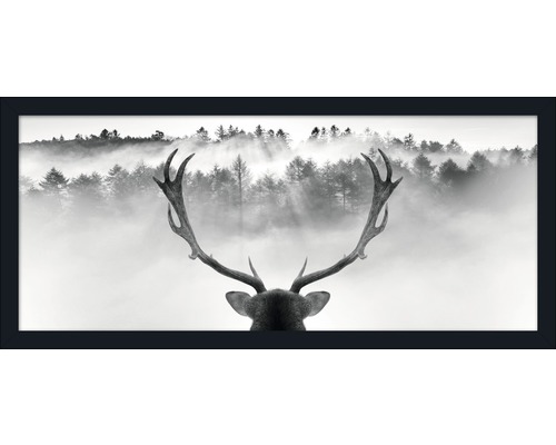 Gerahmtes Bild King of Forest 60x130cm