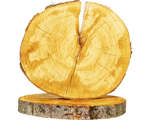 Disque en bois tranche d'arbre bois dur diamètre 25 - 40 cm