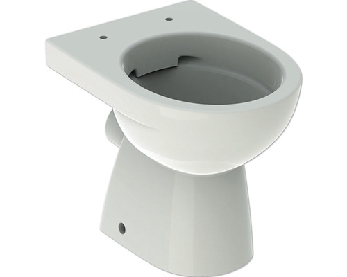 WC à poser GEBERIT Renova cuvette à fond creux sans bride de rinçage à économie d'eau blanc sans abattant WC 500480012