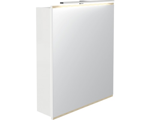 Armoire de toilette LED Miami Vice blanc 60 x 70 x 15,5 cm