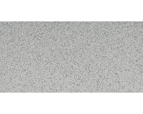 Carrelage sol et mur en grès-cérame fin 30 x 60 cm grain fin gris clair R10B