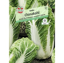 Semences de légumes Sperli chou chinois 'Emiko'-thumb-0