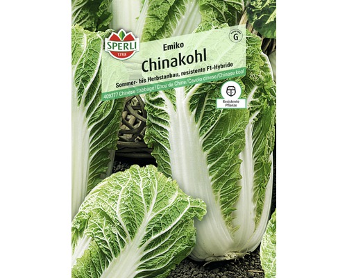 Semences de légumes Sperli chou chinois 'Emiko'