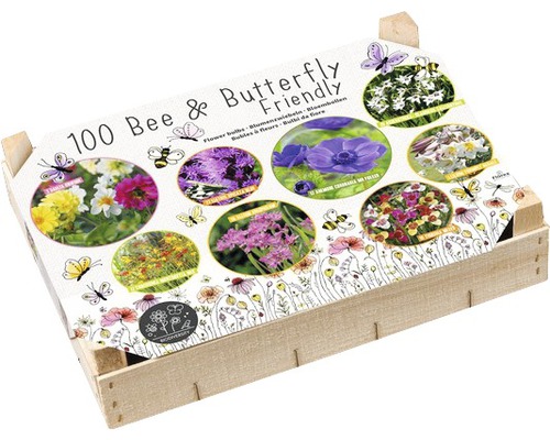 Bulbes de fleurs Big Box - BIO diversité Bee & Butterfly avec dahlias, 100 pces