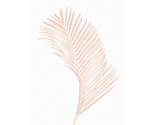 Impression d'art Palm Leaf 18x24 cm