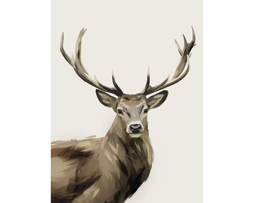 Impression d'art Deer 18x24 cm