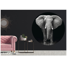 Fototapete Vlies Elefant schwarz-weiß Ø 142,5 cm-thumb-2