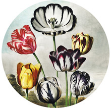 Papier peint panoramique intissé Thornton Tulipes Ø 142,5 cm-thumb-0
