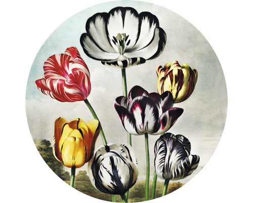 Papier peint panoramique intissé Thornton Tulipes Ø 142,5 cm-0