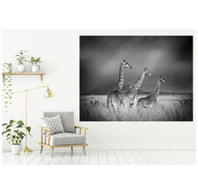 Papier peint panoramique intissé giraffes noir et blanc 243 x 184 cm-thumb-2