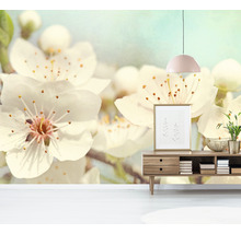 Papier peint panoramique intissé Fleurs de cerisier 243 x 184 cm-thumb-2