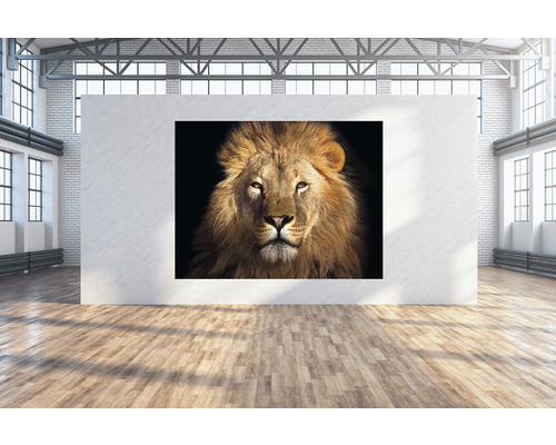 Toile murale Lion 224x160 cm