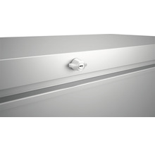 Boîte de rangement biohort LoungeBox 160, 160x70x83.5 cm gris quartz-métallique-thumb-2