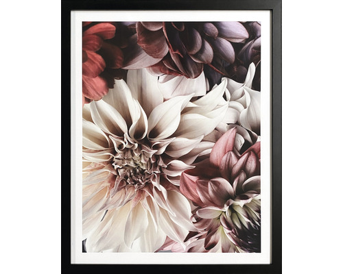 Tableau encadré avec fleur passe-partout I 42,6x52,6 cm