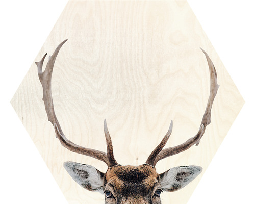 Hexagon Grey Deer Head IV 45x45 cm