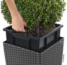 Blumentopf Lechuza Cube Cottage Kunststoff 30x30x30 cm mokka inkl. Erdbewässerungssystem und Wasserstandsanzeiger-thumb-2