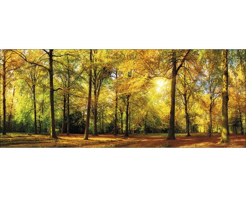 Tableau en verre Sunshine in the forest 50x125 cm-0