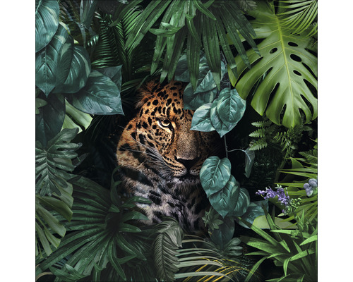 Glasbild Jaguar in the jungle 50x50 cm