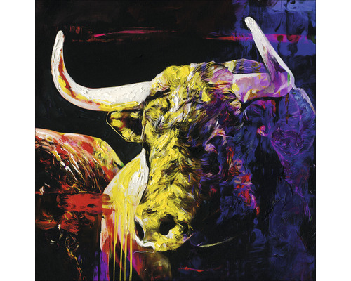 Glasbild Colorful Bull Head 50x50 cm