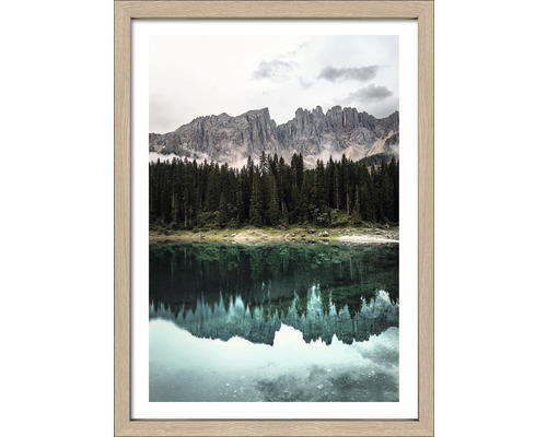 Image encadrée forêt de lac de montagne 53x73