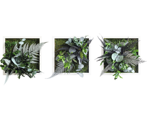 Tableau végétal Design jungle kit de 3 22x22 cm