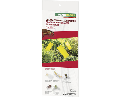Plaquettes jaunes avec suspension Windhager 10 pces env. 24 x 10 cm contre les mouches blanches, sciarides, pucerons, mouches des fruits, mineuses, sans insecticide, inodore