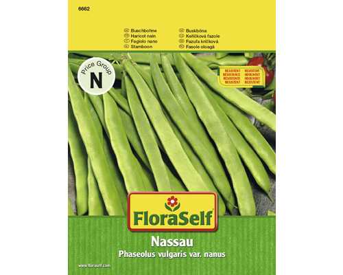 Graines de haricots nains 'Nassau' FloraSelf