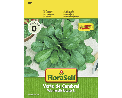 Mâche 'Verte de Cambrai' FloraSelf semences de salade lot promotionnel semences non-hybrides