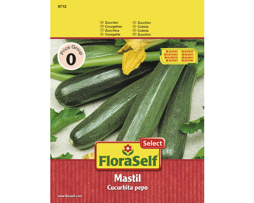 Courgette 'Mastil' FloraSelf semences de légumes hybrides F1