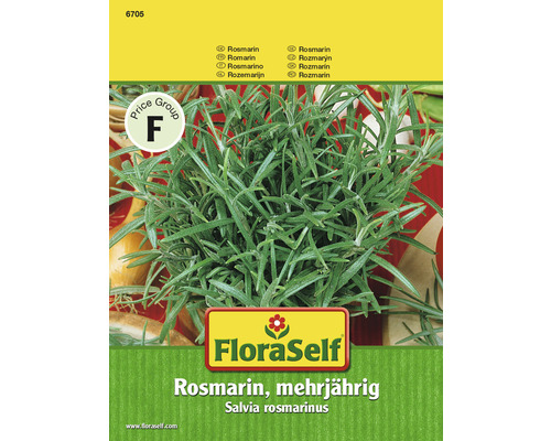 Romarin vivace FloraSelf semences non-hybrides semences de fines herbes