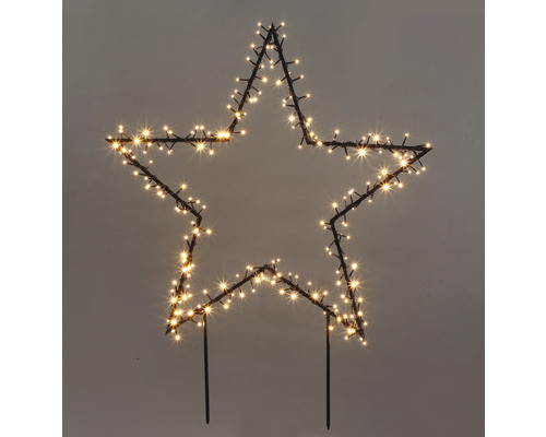 Figurine décorative LED Lafiora étoile 225 LED couleur d'éclairage blanc chaud avec minuterie et commande d'ambiances d'éclairage