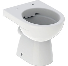 WC à poser GEBERIT Renova cuvette à fond creux sans bride de rinçage blanc KeraTect® laque spéciale sans abattant WC 500480018-thumb-0
