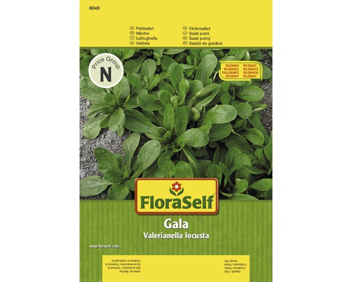Mâche 'Gala' FloraSelf semences non-hybrides semences de salade