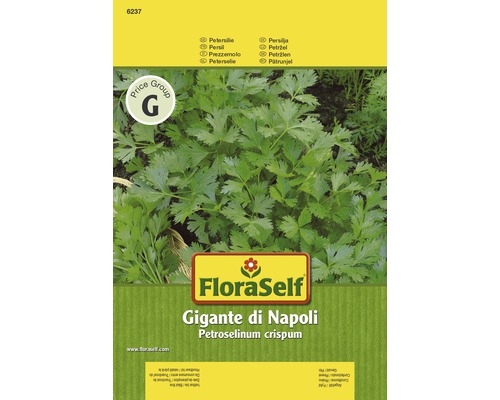 Persil 'Gigante di Napoli' FloraSelf semences non-hybrides semences de fines herbes