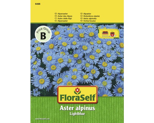 Aster des Alpes 'Lightblue' FloraSelf semences non-hybrides graines de fleurs