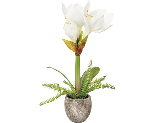 Kunstpflanze Amaryllis im Zementtopf H 35 cm weiß