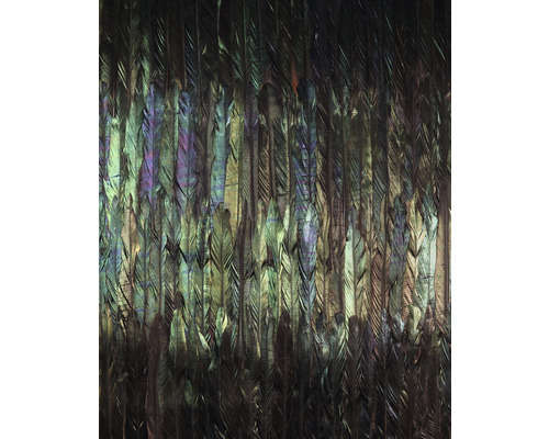 Papier peint panoramique intissé X4-1081 Dark Wings 4 pces 200 x 250 cm