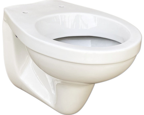 WC suspendu DNP cuvette à fond creux avec bride de rinçage blanc sans abattant WC