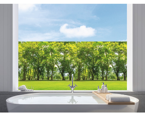 Film adhésif pour fenêtre Venilia Vitrostatic Forest forêt 67,5 x 150 cm -  HORNBACH Luxembourg