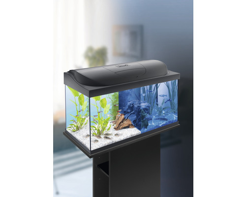 Tetra Aquarium Complet Starter Line 54 L avec Éclairage LED Jour