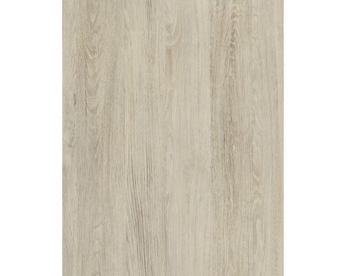 d-c-fix® Film adhésif imitation bois chêne blanchi à la chaux 45 x 200 cm