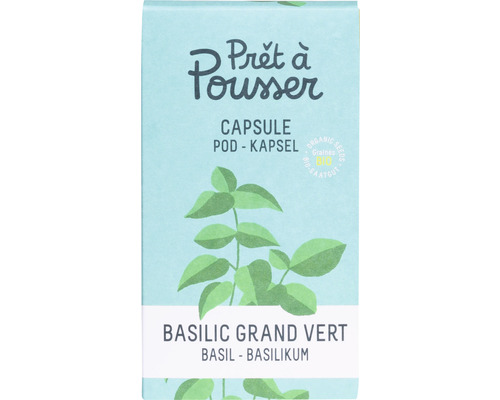 Basilic 'Prêt à pousser' Graines de légume Capsule pour pot de fleur smart  mini jardin intérieur - HORNBACH Luxembourg
