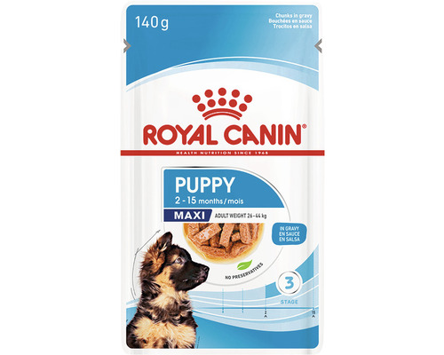 Hundefutter nass ROYAL CANIN Maxi Puppy Welpenfutter für große Hunde 140 g