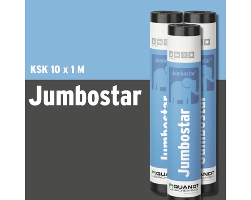 Quandt Bitumen Kaltselbstklebebahn Jumbostar KSK 10 x 1 m Rolle = 10 m²